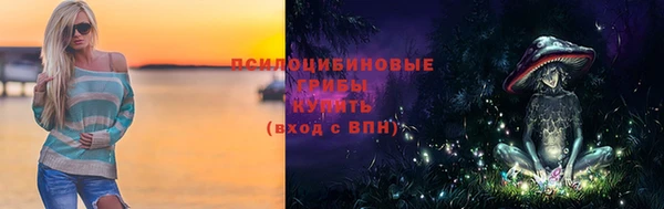 spice Лагань