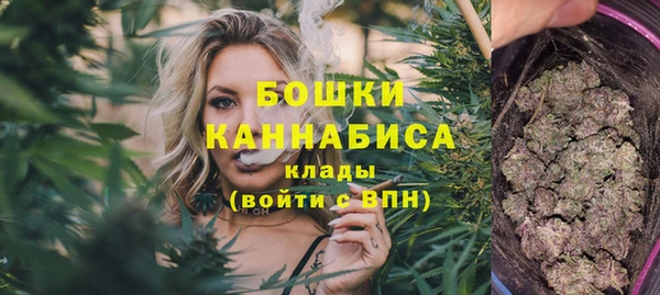 spice Лагань