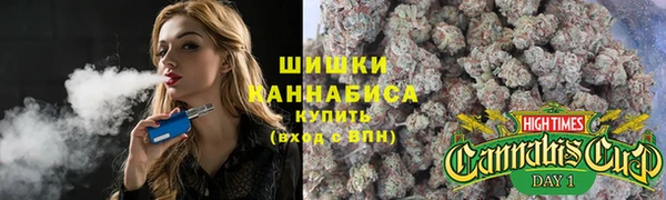spice Лагань