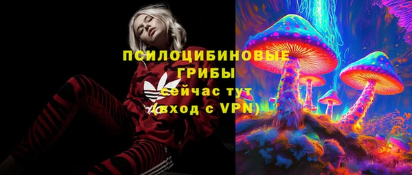 spice Лагань