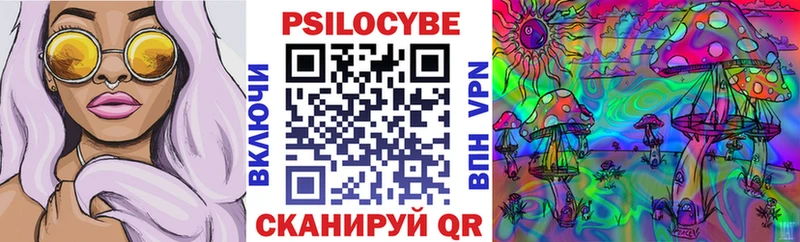 что такое наркотик  Новотитаровская  Псилоцибиновые грибы Psilocybine cubensis 