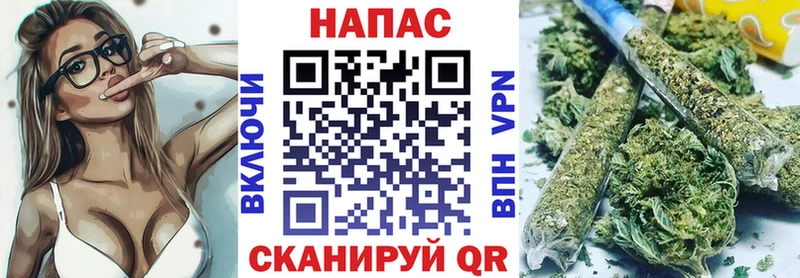 Конопля VHQ  Новотитаровская 